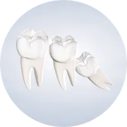 Homepage procedure wisdom teeth